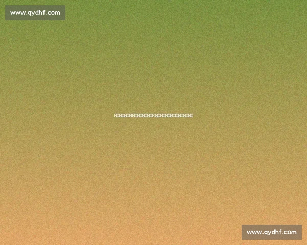 上海海港对阵悉尼焦点之战技战术前瞻关键球员状态与比赛看点全解析