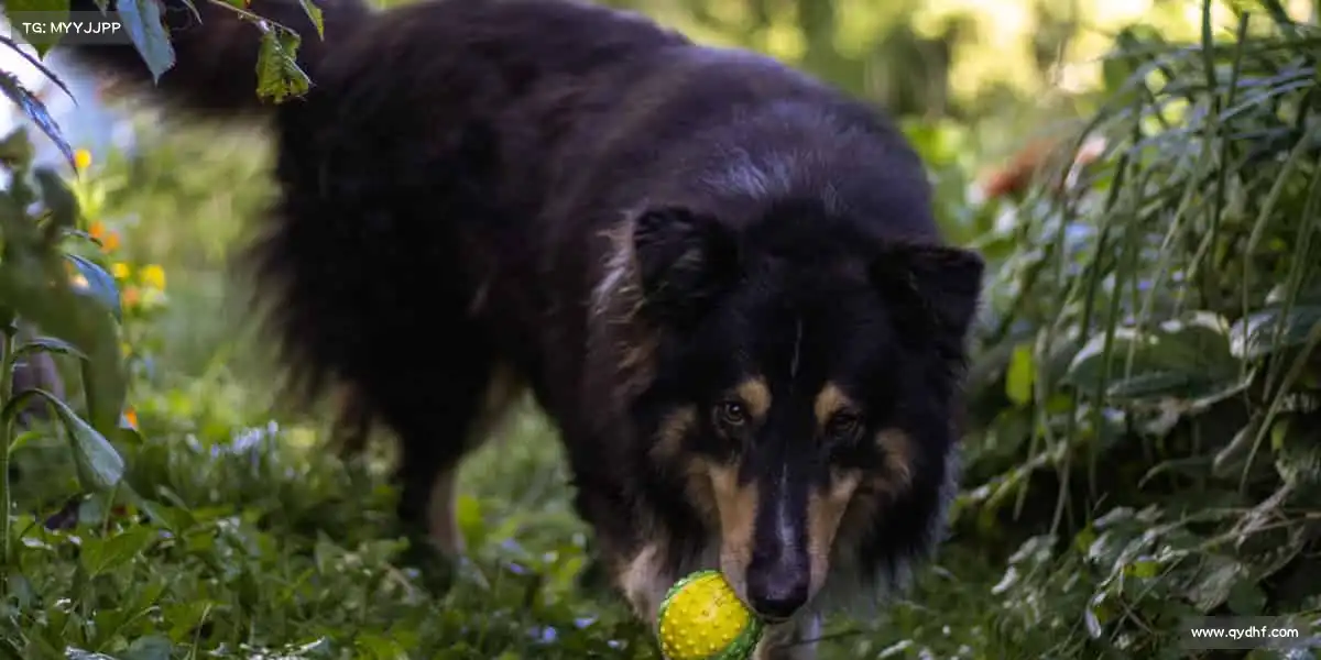 我们的核心竞争力
